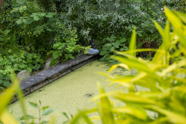 20100816-VCP_3788