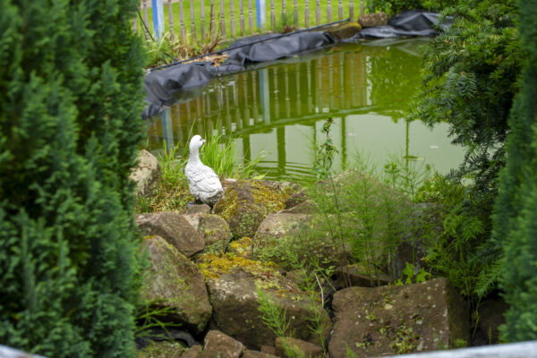 20100817-VCP_4536