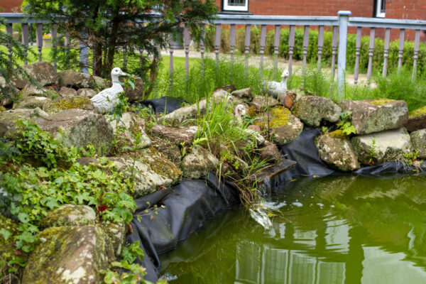 20100817-VCP_4541