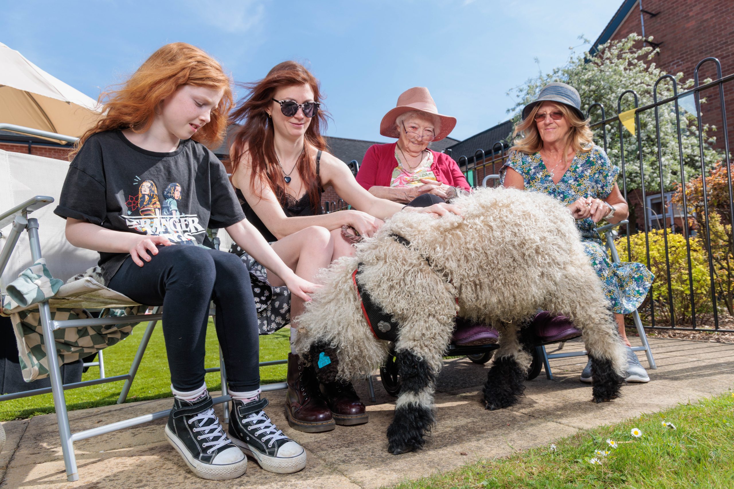 0078 borough care silverdale bredbury scaled